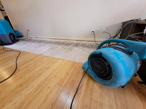 Professional Structural Drying technician working in Horseshoe Bend, AR